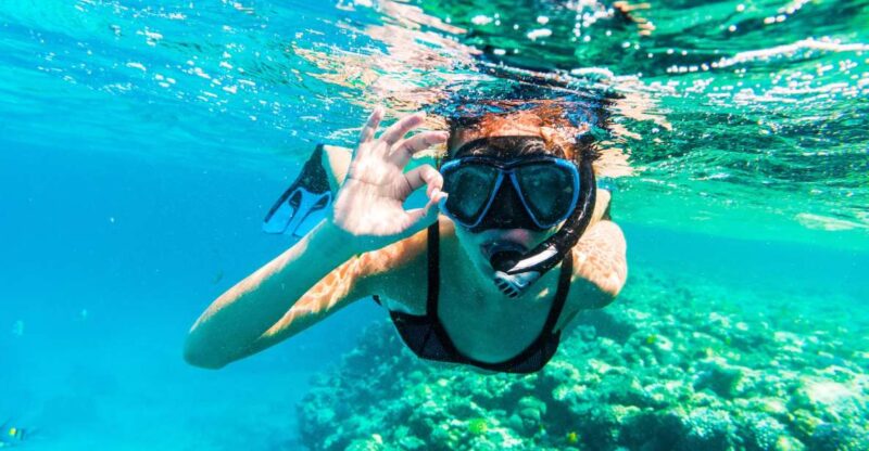Sharm El Sheikh: Snorkeling at Ras Mohamed & White Island - Key Points