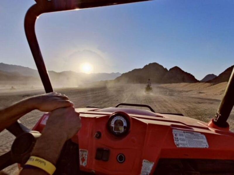 Sharm El Sheikh: Sunrise Buggy Adventure and Bedouin Tent - Cultural Immersion
