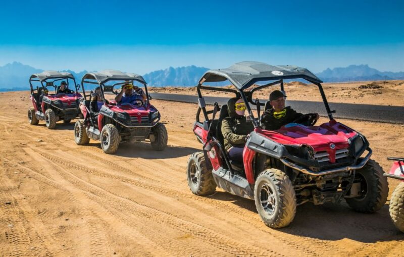 Sharm El-Sheikh: Sunset Buggy Safari and Camel Tour With BBQ - Highlights and Experiences