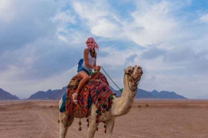 Sharm El-Sheikh: Sunset Buggy Safari and Camel Tour With BBQ - Pricing and Cancellation Policy
