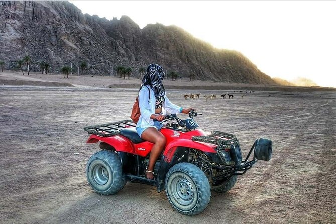 Sharm El Sheikh Super Safari 5*1 ATV Quad, Stargazing,Camel Ride,Dinner, Shows - Desert Quad Biking