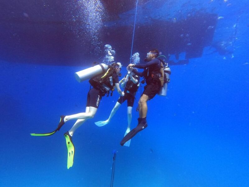 Sharm El Sheikh: Tiran Island Boat Trip W Private Transfers - Included Amenities