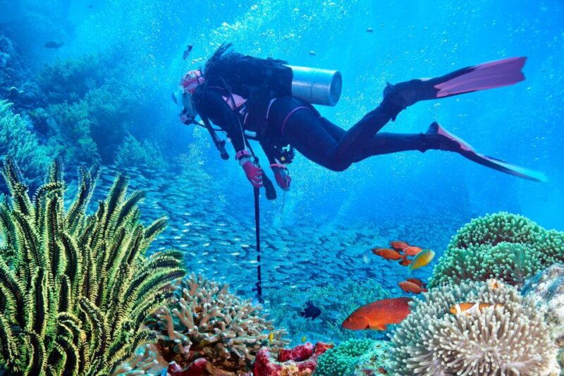 Sharm El Sheikh: Tiran Island Cruise Tour With Intro Dive - Lunch