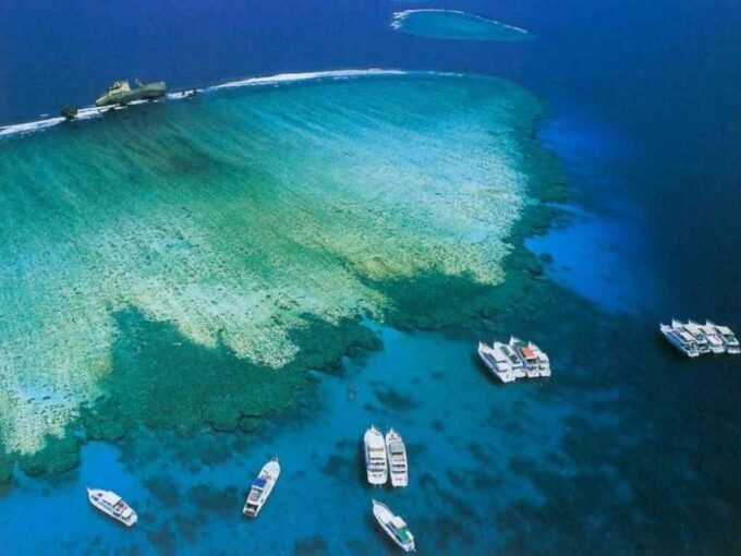 Sharm El Sheikh: Tiran Island Cruise Tour With Intro Dive - Return