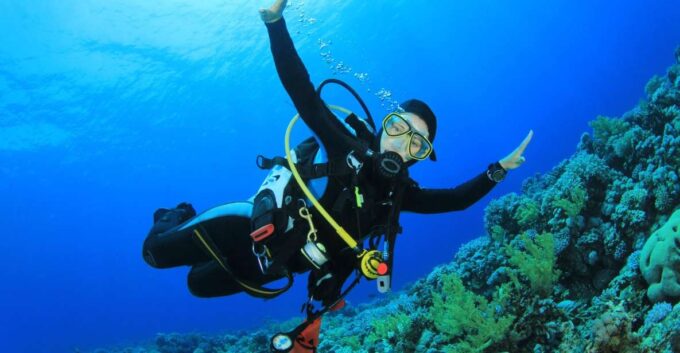 Sharm El Sheikh: Tiran Island Cruise Tour With Intro Dive - Inclusions