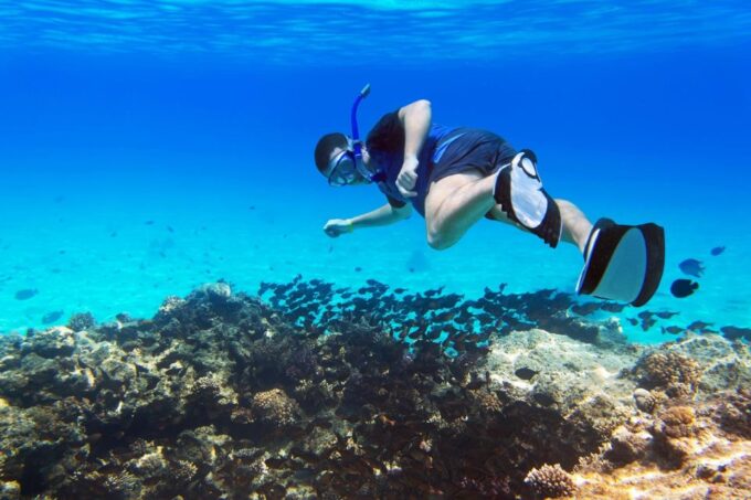 Sharm El Sheikh: Tiran Island Snorkeling Boat Cruise & Lunch - Dining and Refreshments