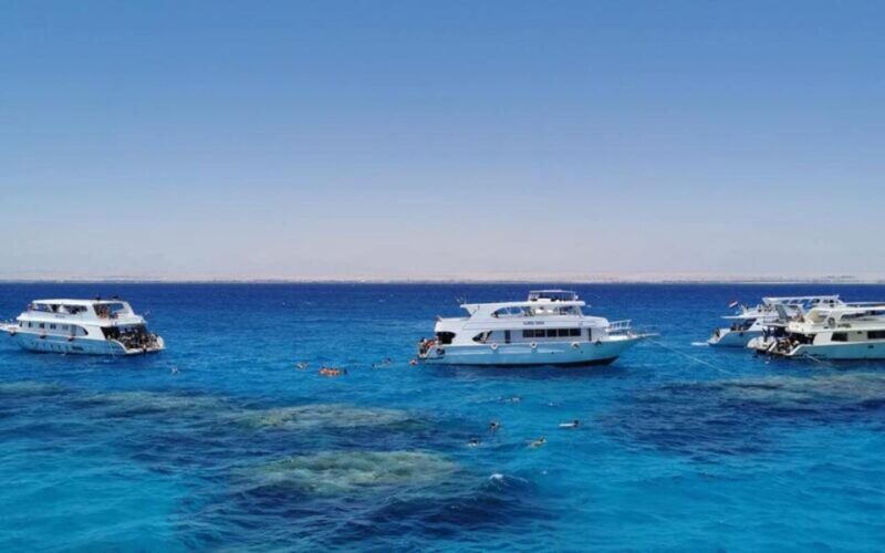 Sharm El-Sheikh: White Island and Ras Mohamed Nature Reserve - Key Points