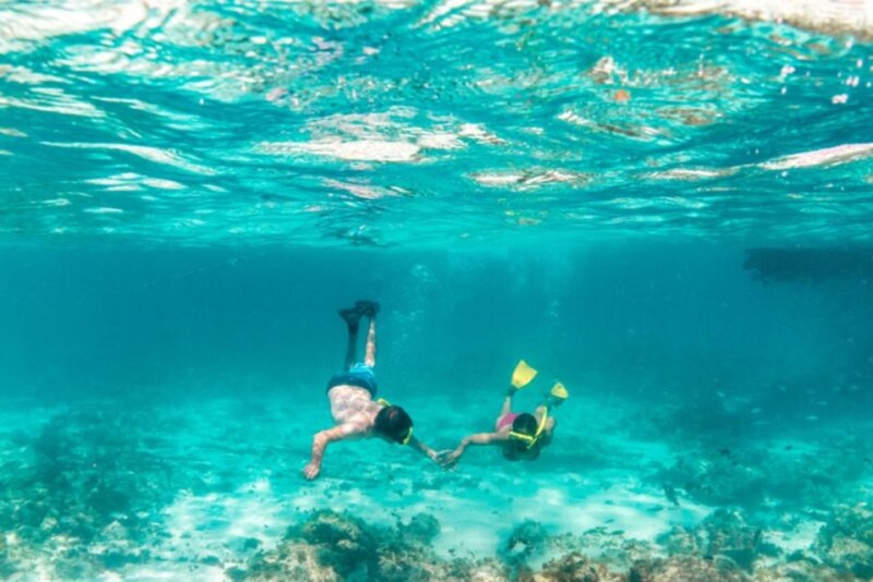 Sharm El-Sheikh: White Island and Ras Mohamed Nature Reserve - Highlights and Experience