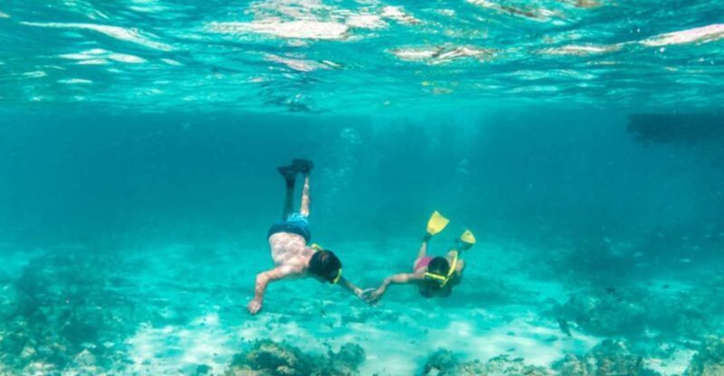 Sharm El-Sheikh: White Island and Ras Mohamed Nature Reserve - Frequently Asked Questions
