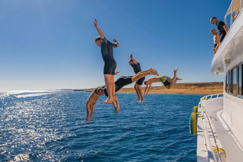 Sharm El Sheikh: White Island & Ras Mohamed Cruise Adventure - Itinerary and Activities