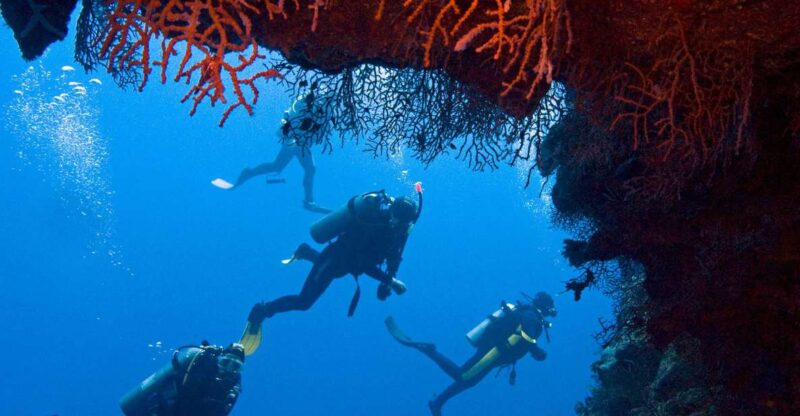 Sharm El-Sheikh: White Island & Ras Mohammed Snorkel Trip - Key Points