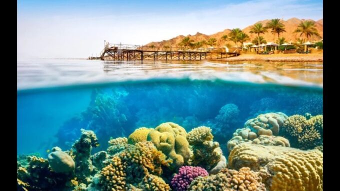 Sharm El-Sheikh: White Island & Ras Mohammed Snorkel Trip - Insider Tips