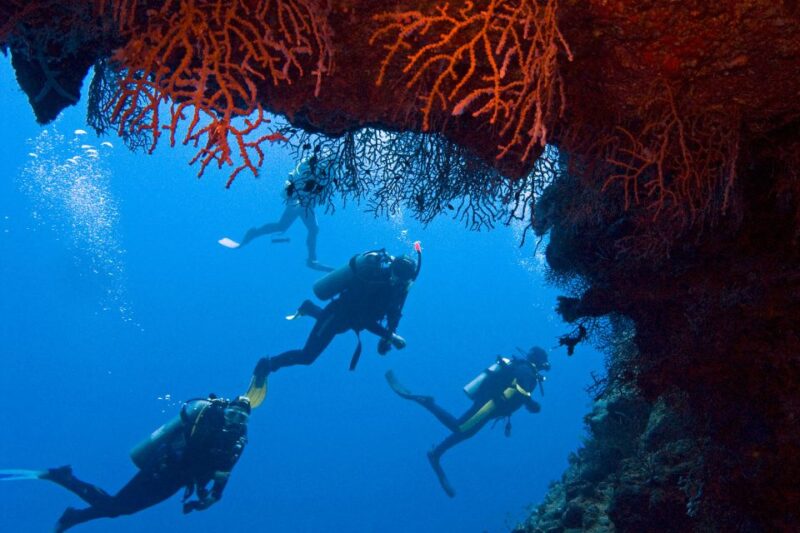 Sharm El-Sheikh: White Island & Ras Mohammed Snorkel Trip - Itinerary at a Glance