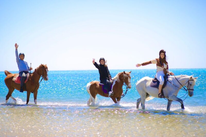 Sharm El Shiekh: Beach and Desert Horse Riding Tour - Key Points