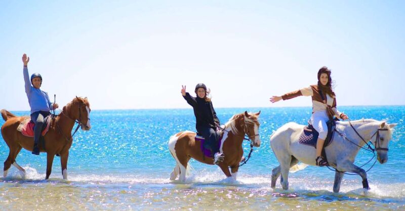 Sharm El Shiekh: Beach and Desert Horse Riding Tour - Itinerary and Experience