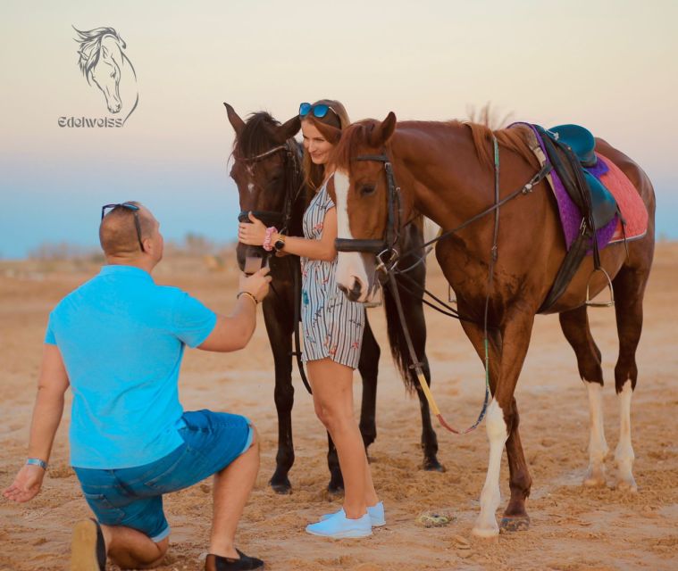 Sharm El Shiekh: Beach and Desert Horse Riding Tour - Inclusions and Logistics