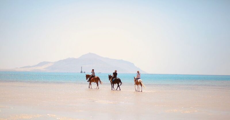 Sharm El Shiekh: Beach and Desert Horse Riding Tour - Instructor and Group Size