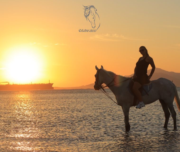 Sharm El Shiekh: Beach and Desert Horse Riding Tour - Preparation and Important Information