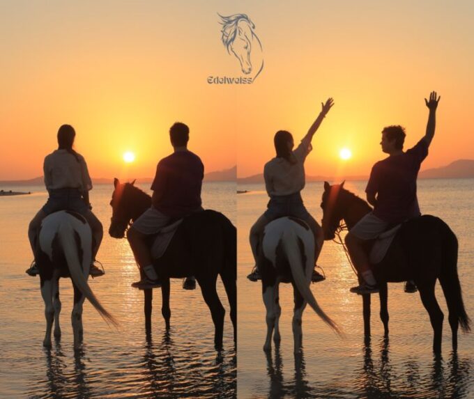 Sharm El Shiekh: Beach and Desert Horse Riding Tour - Ratings and Reviews