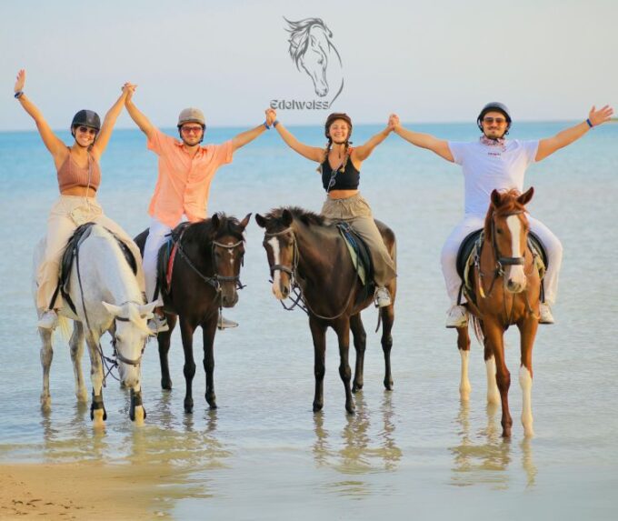 Sharm El Shiekh: Beach and Desert Horse Riding Tour - Meeting Point and Transportation