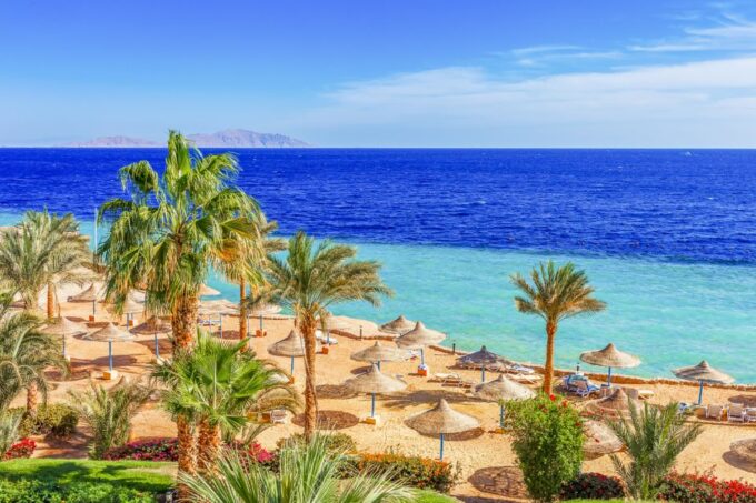 Sharm: Parasailing, Banana Boat & Tube Ride With Transfers - Private Group Experience