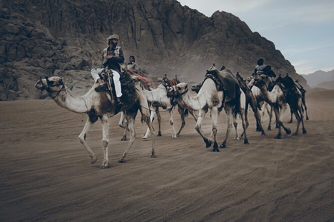 Sharm: Quad Bike or Car Buggy, Camel Ride & Optional VIP Bedouin Dinner & Show - Exclusions