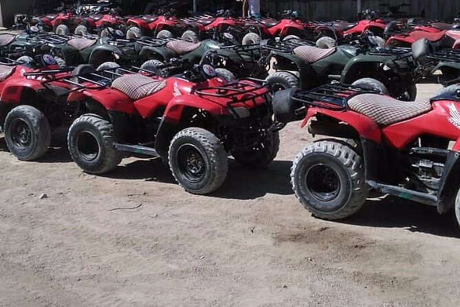 Sharm: Quad Bike or Car Buggy, Camel Ride & Optional VIP Bedouin Dinner & Show - Operator