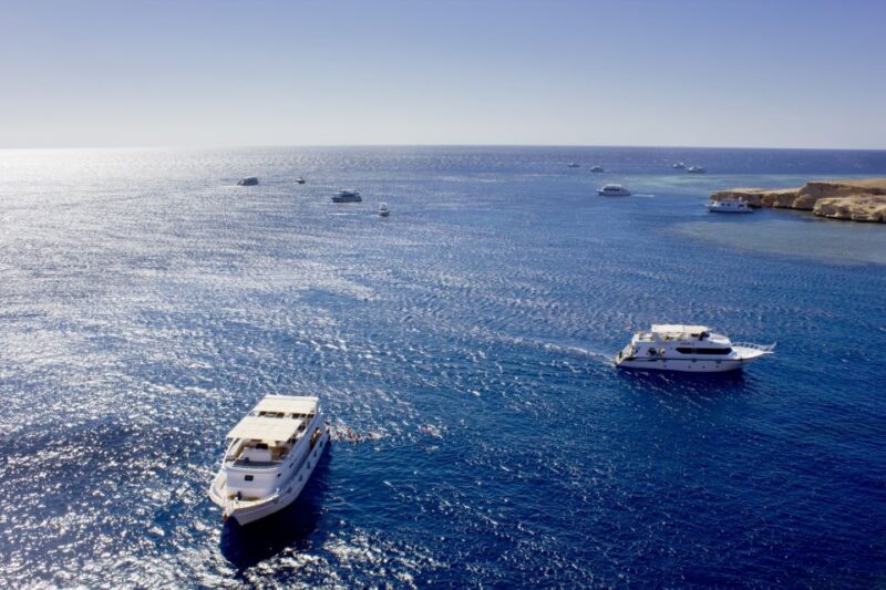 Sharm: Ras Mohamed Diving Boat Trip With Private Transfers - Customer Feedback