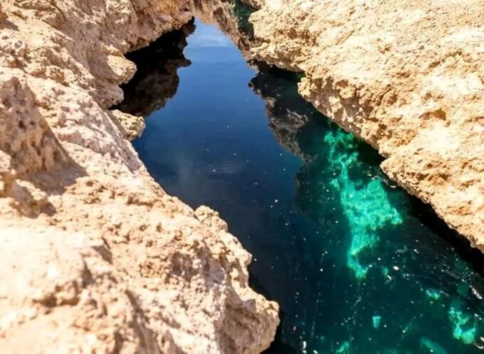 Sharm: Snorkel From the Shore, Mangroove Trees & Salt Lake - Inclusive Transportation and Gear