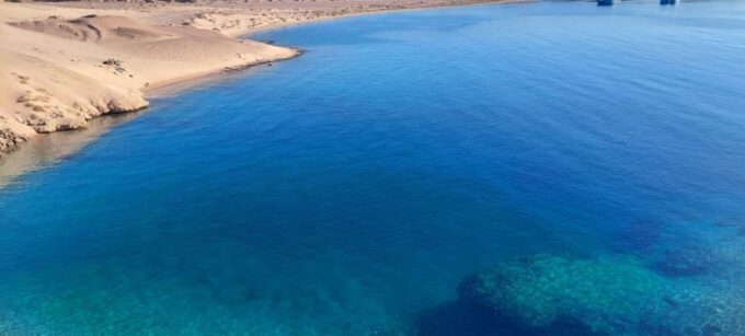 Sharm: Snorkel From the Shore, Mangroove Trees & Salt Lake - Recap