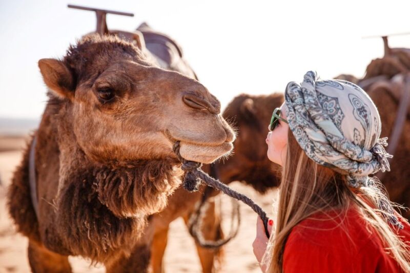 Sharm: Sunrise Quad Bike, Bedouin Breakfast & Camel Ride - Inclusions and Equipment