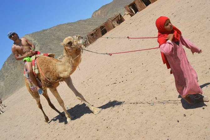 Sharm Sunset Quad Biking Ride, Show, Dinner - Included Activities and Amenities