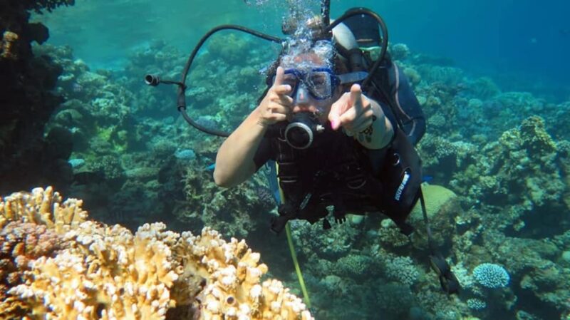Sharm to Dahab: Colored Canyon, Blue Hole, Qude Bike, Camels - Suitability for Wheelchair Users