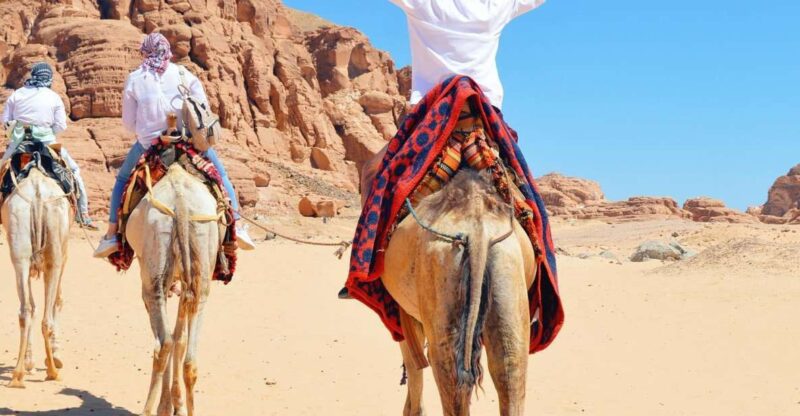 Sharm: Water Sports Adventure Day With Hotel Transfer - Included Activities