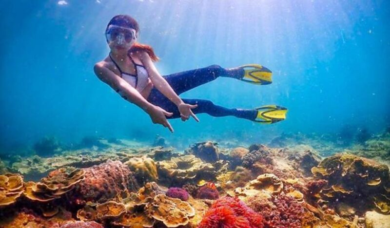 Sharm: White Island and Ras Mohamed With Private Transfers - Inclusions and Equipment
