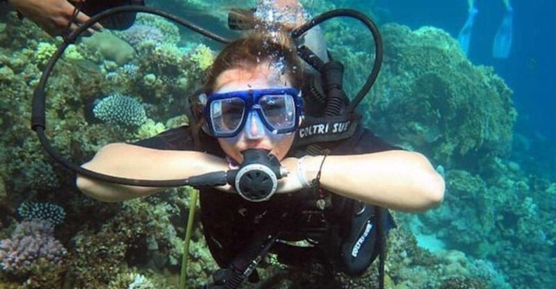 Sharm:Introduction Dive From the Shore & PADI Courses - Key Points