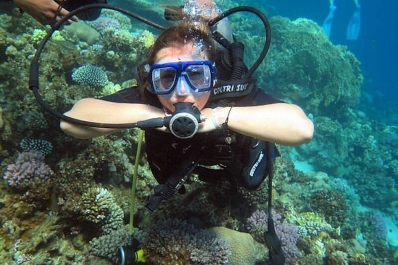 Sharm:Introduction Dive From the Shore & PADI Courses - Certification and Dive Depth