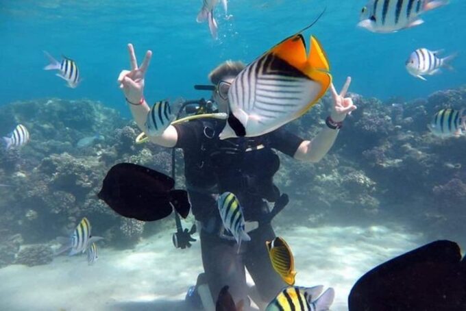 Sharm:Introduction Dive From the Shore & PADI Courses - Important Considerations and Customer Feedback