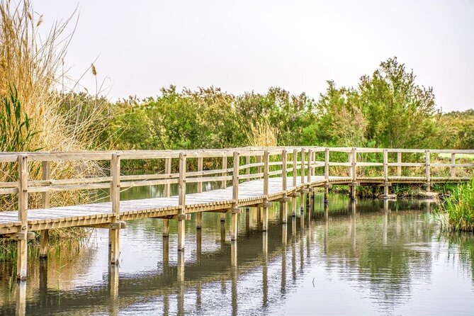 Shaumari Reserve and Azraq Wetland Private Full Day Tour From Amman - Key Points