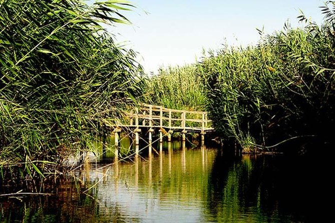 Shaumari Reserve and Azraq Wetland Private Full Day Tour From Amman - Inclusions and Exclusions