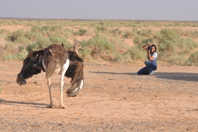 Shaumari Reserve and Azraq Wetland Private Full Day Tour From Amman - Azraq Wetland Reserve