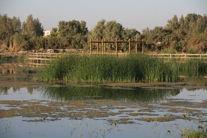 Shaumari Reserve and Azraq Wetland Private Full Day Tour From Amman - Accessibility and Dietary Needs
