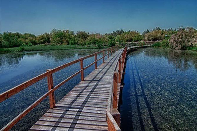 Shaumari Reserve and Azraq Wetland Private Full Day Tour From Amman - Booking Details