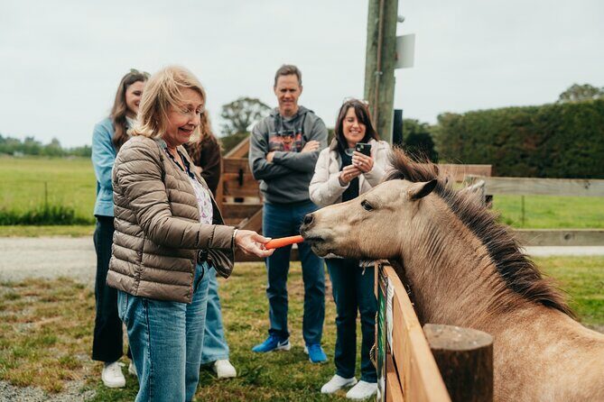 Sheep Farm Day Trip from Christchurch + Lunch and Winery visit. - Analyzing the Value: Is It Worth the Price?