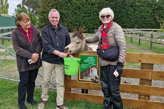 Sheep Farm Day Trip from Christchurch + Lunch and Winery visit. - Who Should Consider This Tour?