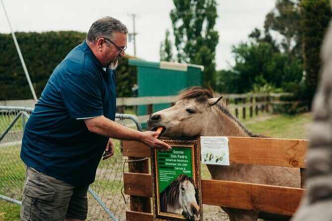 Sheep Farm Day Trip from Christchurch + Lunch and Winery visit. - FAQ