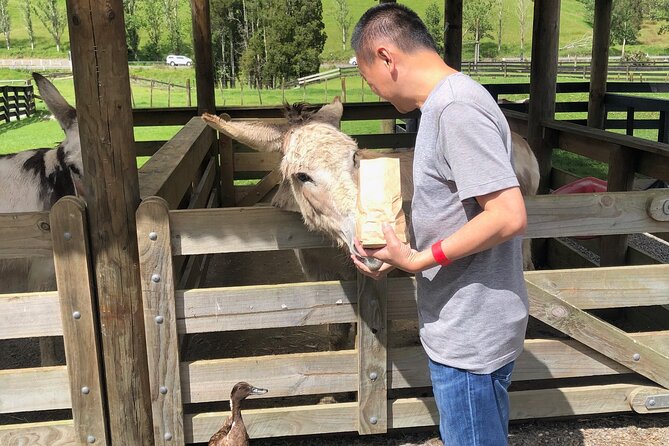 Sheep World Country Tour From Auckland - Customer Experiences