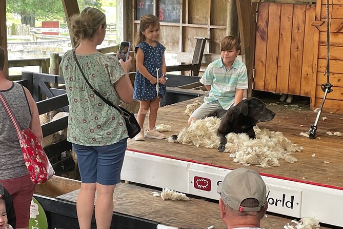 Sheep World Country Tour From Auckland - Concerns and Responses