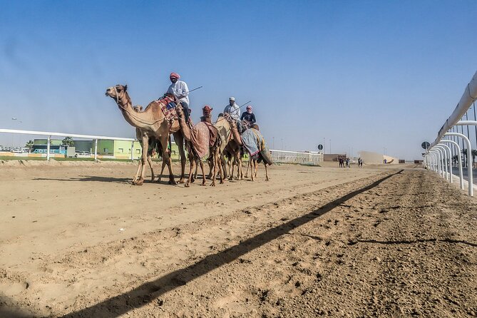 Sheikh Faisal, Camel Race Track Visit - Booking and Logistics Details