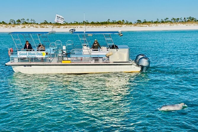 Shell Island Dolphin Sightseeing Boat Tour - Tour Experience